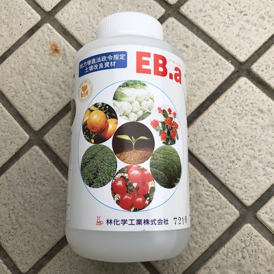 芝メンテ⑤