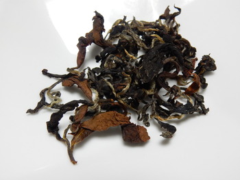 釜炒り茶　柴本さんの紅茶