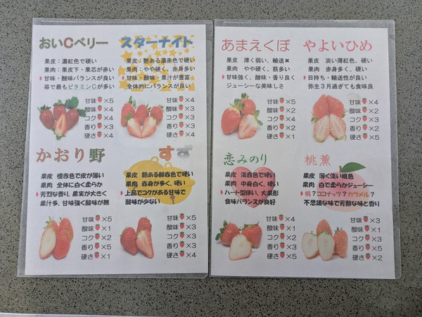 いちごっち鈴喜さんの苺