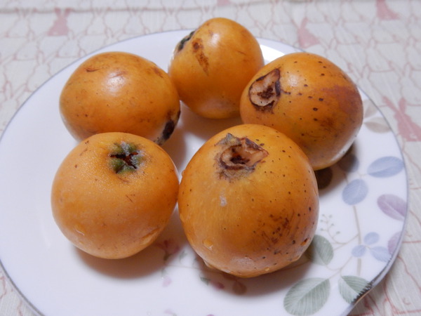 枇杷