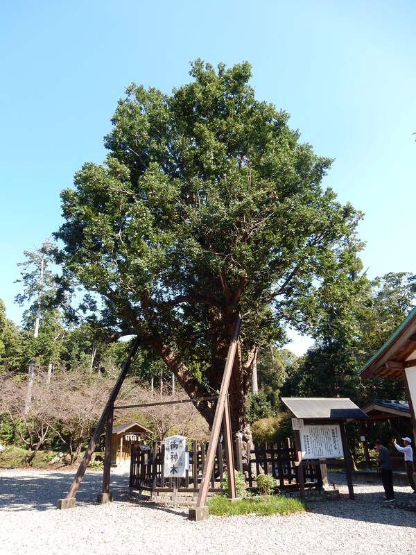 天宮神社