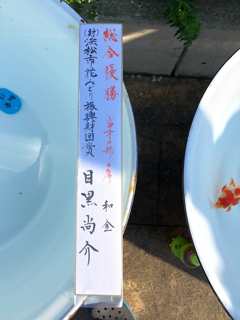 第４８回　静岡県金魚品評大会　入賞魚
