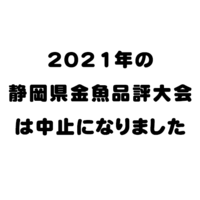 【重要】　2021年静岡県金魚品評大会中止のお知らせ