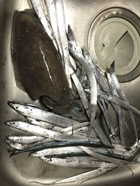 釣りーんぐ 2015/07/03 20:53:00