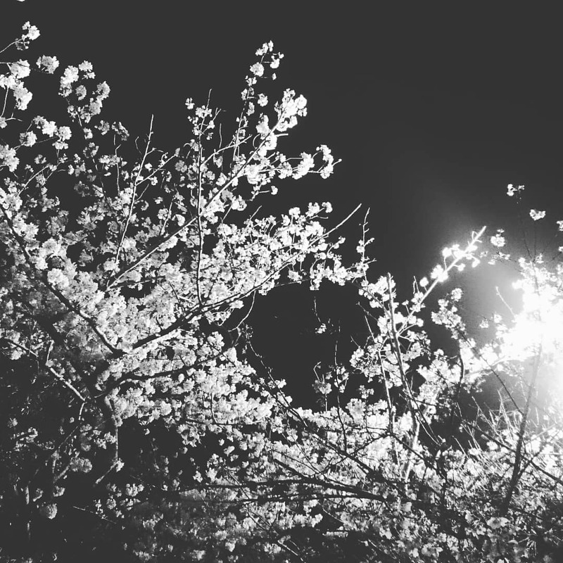 春 新生活