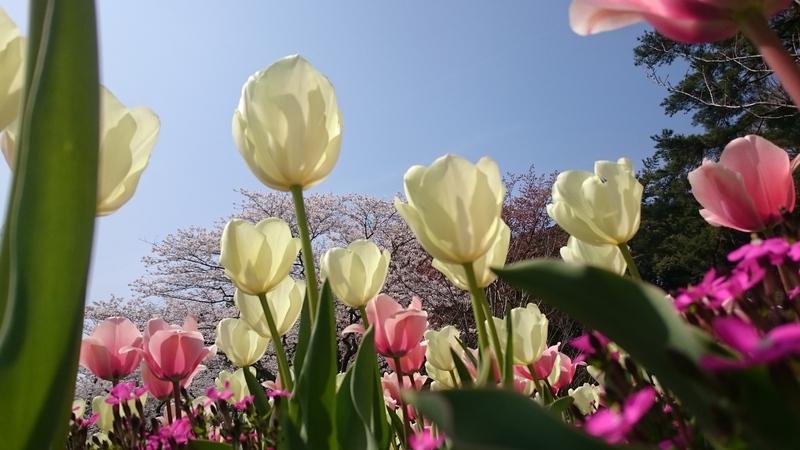 春 新生活