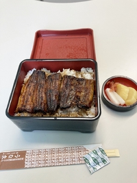 3月15日（水曜日）明日は定休日になります＆今日のランチは鰻重＆ゴロさん(^^)/ 2023/03/15 17:40:24
