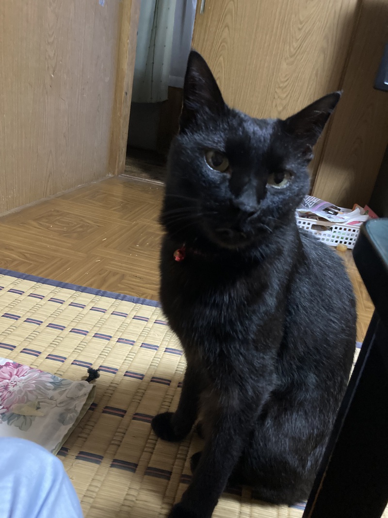 ゴロさん