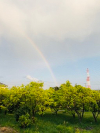 今日も・・ 2019/05/04 18:52:05