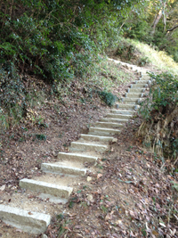 事任八幡宮 2013/01/11 21:18:00