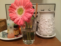 女神のフェスタ無事終了！ 2014/02/22 18:33:22