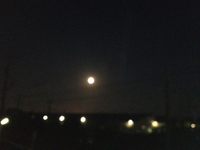 お月見 2013/09/19 18:50:12