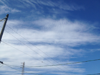 秋の空 2013/08/28 09:02:17