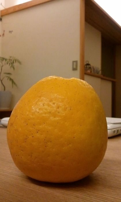 宇和ゴールド