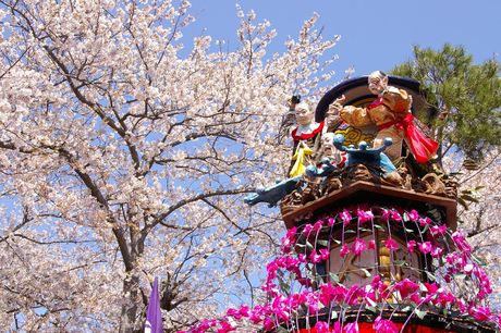 祢里と桜（その２）
