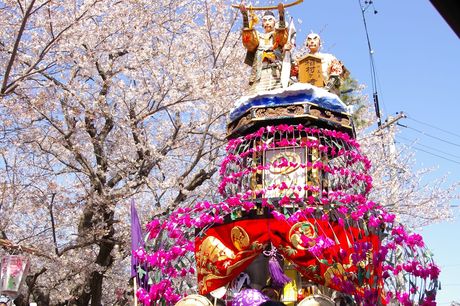 祢里と桜（その２）