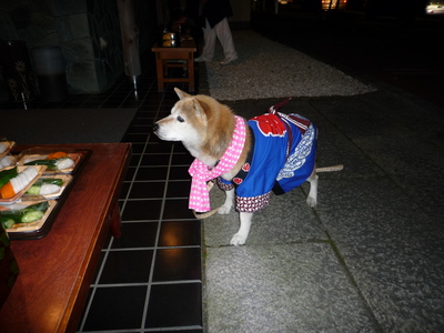 お祭ワンちゃん（２００８－３）