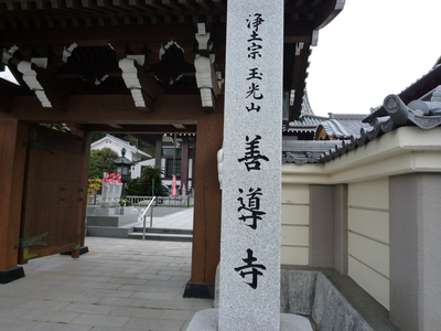 善導寺の桜　２００９