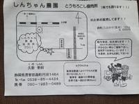 トウモロコシ