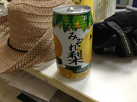 100円ショップ 2012/06/06 19:13:19