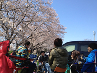 お花見 2012/04/09 17:03:00