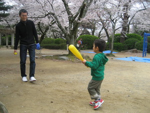 お花見