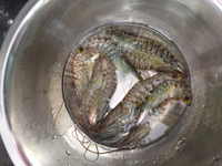 浜名湖産 2017/07/26 17:43:26