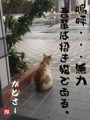 招き猫