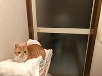 番台さん
