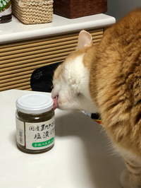 媚薬