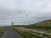 再開と足の指