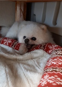 悲しい…出来事