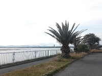 居住権