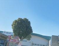 附属設備 2025/01/25 20:00:58