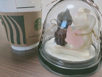 ダッフル 2025/02/02 17:57:29