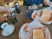幹細胞 2025/01/19 10:27:36