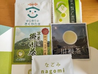 脱落 2025/02/21 21:22:43