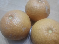 金利上昇 2025/03/05 21:03:12