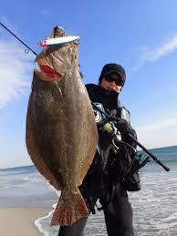 ぶっ飛び君　115 　浜名湖の釣り情報