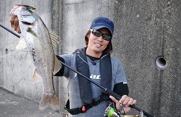 スパロー　１０ｇ　１４ｇ　２０ｇ　２６ｇ aシーバス釣に浜名湖の釣り情報、浜名湖のルアー情報,海釣り公園、