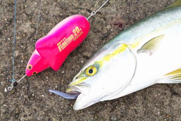 遠投マウスⅡ ヤマシタ サーフトローリング 浜名湖の釣り情報a｜浜名湖つりセンター 浜名湖 釣り情報 ルアー情報 釣り場 ポイント ブログ 奥浜名湖  釣り公園