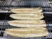 本日の白焼・食べたくなる 2024/07/10 10:28:15