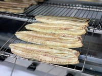 本日の白焼・そろそろ 2024/11/12 10:22:56
