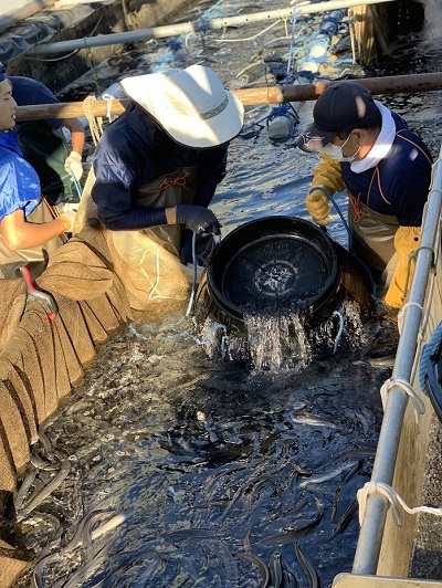 本日の白焼・最強寒波