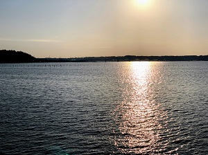 本日の白焼・皐月 本日の白焼・皐月