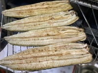 本日の白焼・只今焼き上がりました 2025/01/08 10:10:00