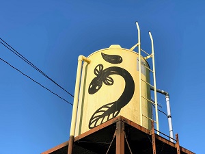 本日の白焼・ひと手間かけて 本日の白焼・ひと手間かけて