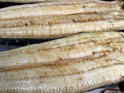 本日の白焼・浜名湖うなぎふわっと 本日の白焼・浜名湖うなぎふわっと