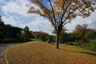 みどり～なの紅葉