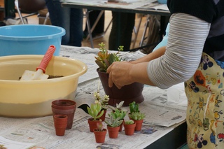 多肉植物の寄せ植え教室2013